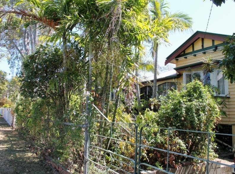 56 Strong Avenue, GRACEVILLE QLD 4075, Graceville - Thumbnail 7