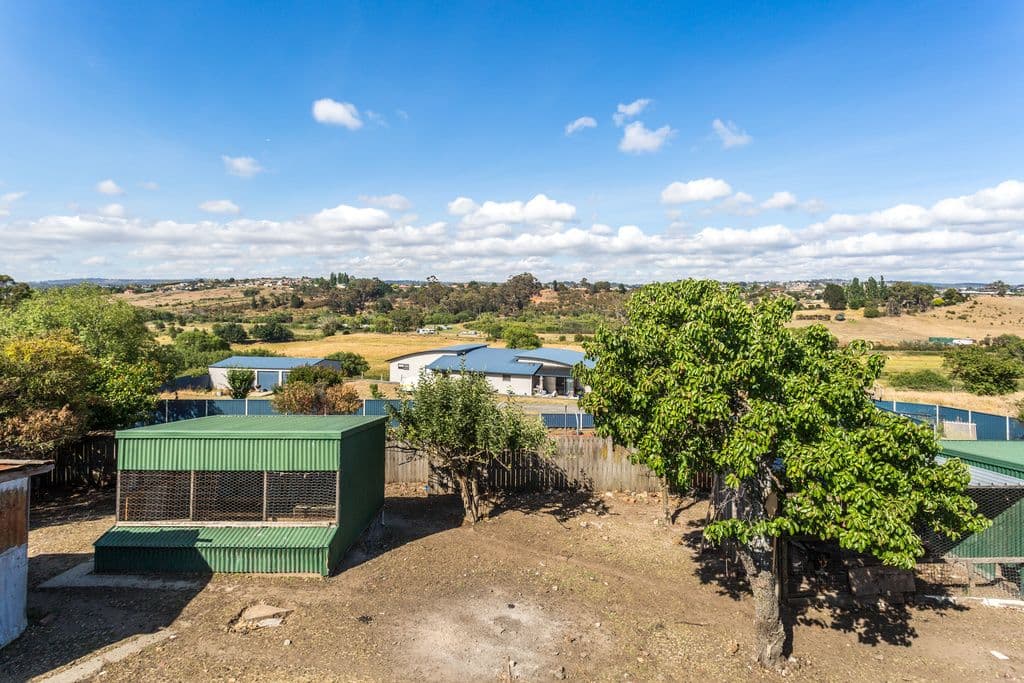 146 St Leonards Road, St Leonards TAS 7250, St Leonards - Thumbnail 3