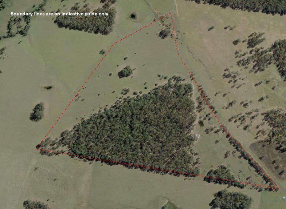 Lot 19 Tullymorgan Road, Tullymorgan NSW 2463, Tullymorgan - Image 1