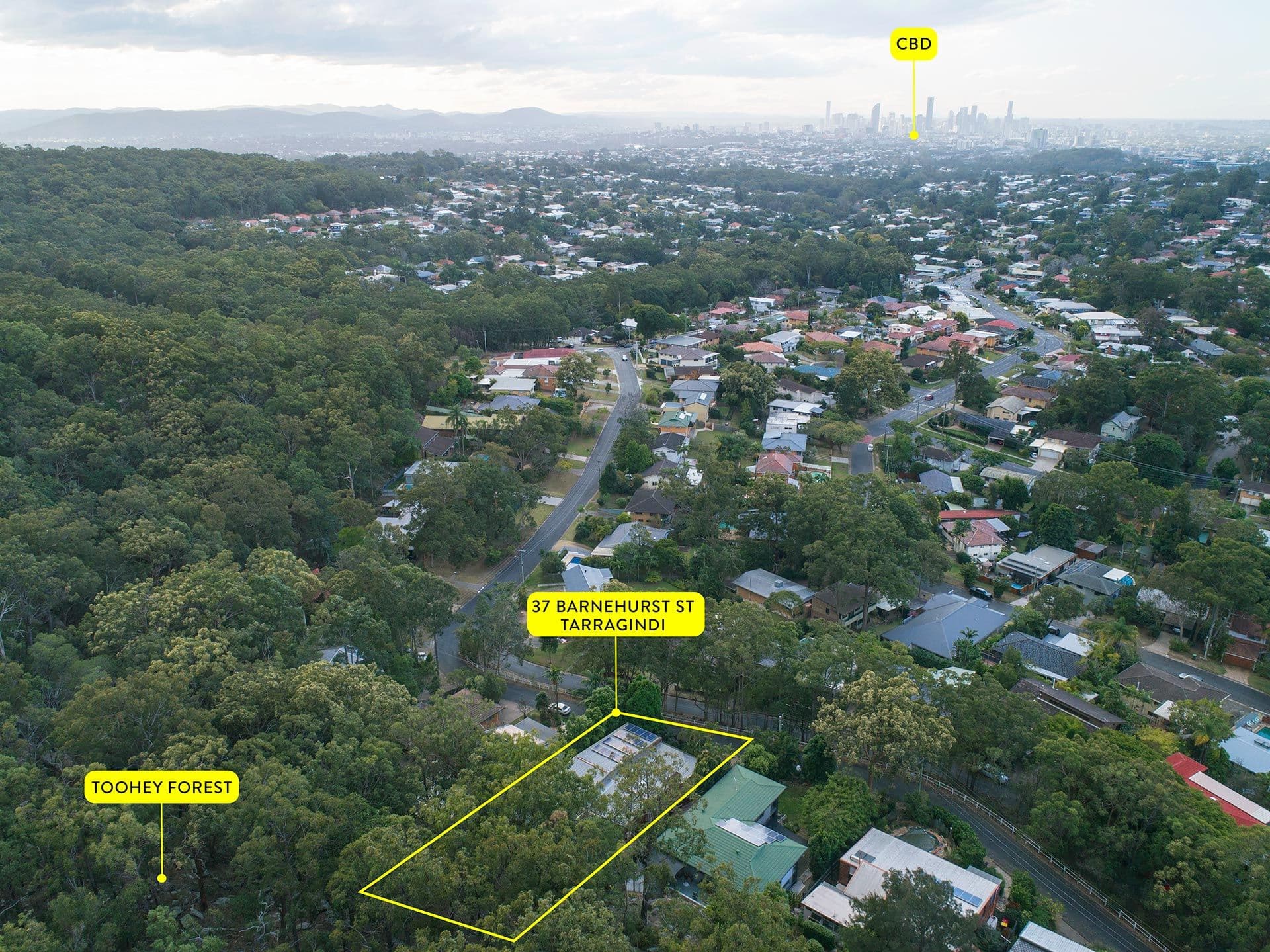 37 Barnehurst Street, Tarragindi QLD 4121, Tarragindi - Thumbnail 2