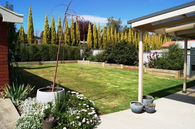 40 Spring Street, Orange NSW 2800, Orange - Thumbnail 6