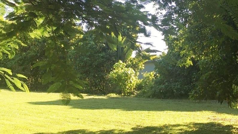 Lot 5 James Road, Mission Beach QLD 4852, Mission Beach - Thumbnail 3