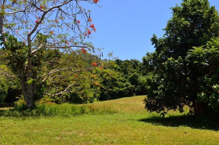 Lot 5 James Road, Mission Beach QLD 4852, Mission Beach - Thumbnail 6