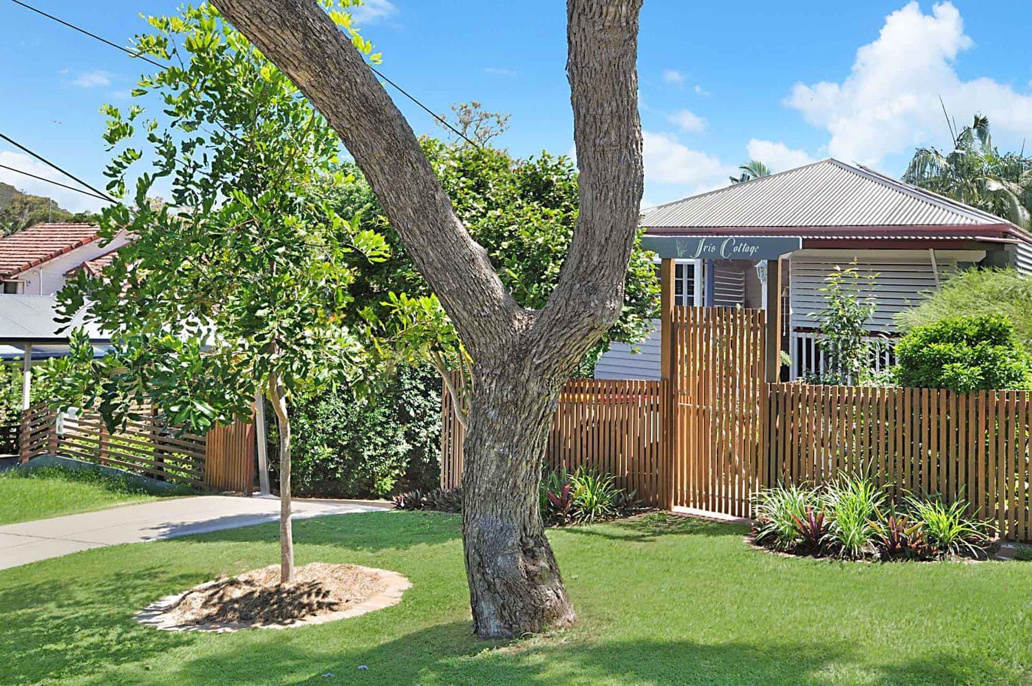 15 Iris Street, Holland Park West QLD 4121, Holland Park West - Thumbnail 3