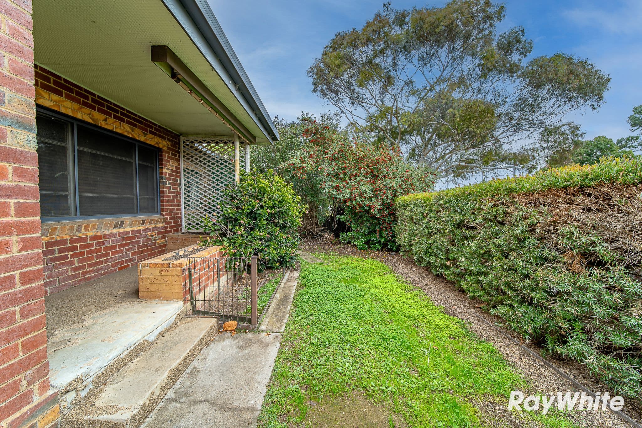 6 Ellis Street, Flora Hill VIC 3550, Flora Hill - Thumbnail 3