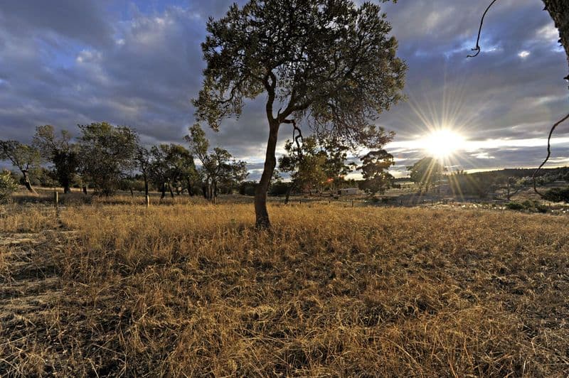 Lot 62 Horsfall Road, BALDIVIS WA 6171, Baldivis - Thumbnail 3