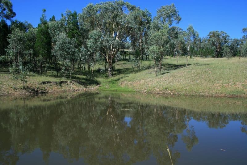 61 Cunninghams Lane, INVERELL NSW 2360, Inverell - Image 1