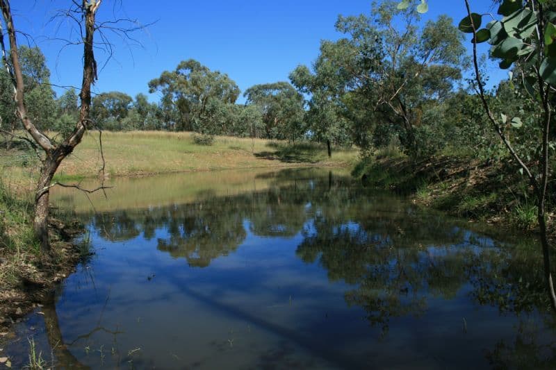 61 Cunninghams Lane, INVERELL NSW 2360, Inverell - Thumbnail 5