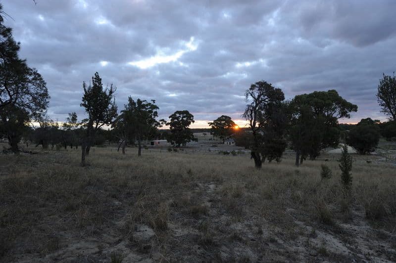 59 Horsfall Road, BALDIVIS WA 6171, Baldivis - Thumbnail 3