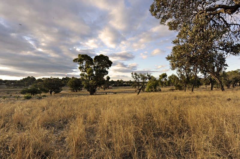 59 Horsfall Road, BALDIVIS WA 6171, Baldivis - Thumbnail 4