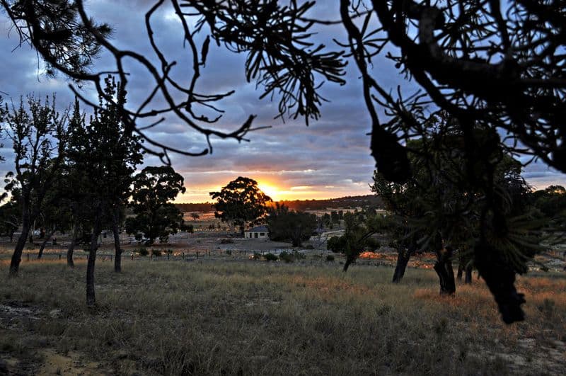 59 Horsfall Road, BALDIVIS WA 6171, Baldivis - Thumbnail 5