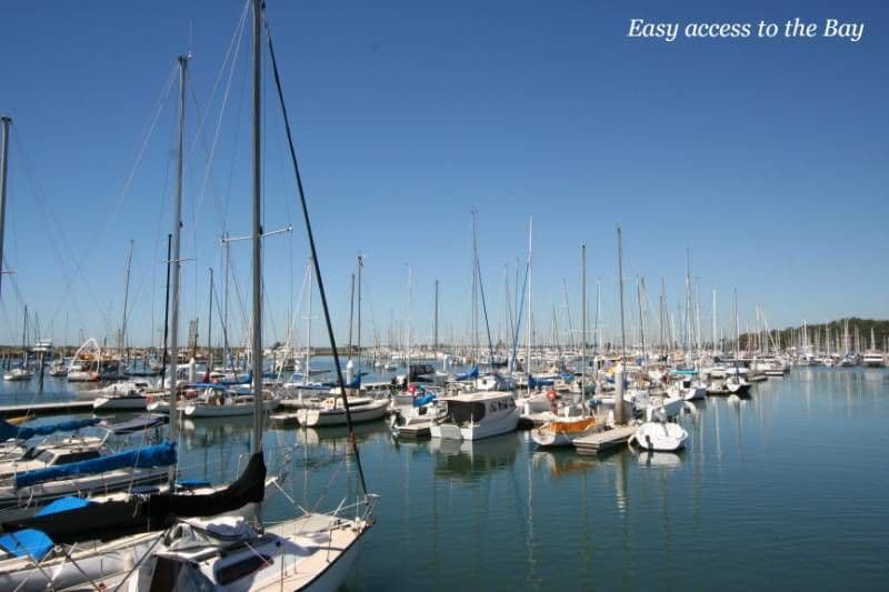 25 Caloundra Street, MANLY WEST QLD 4179, Manly West - Thumbnail 6