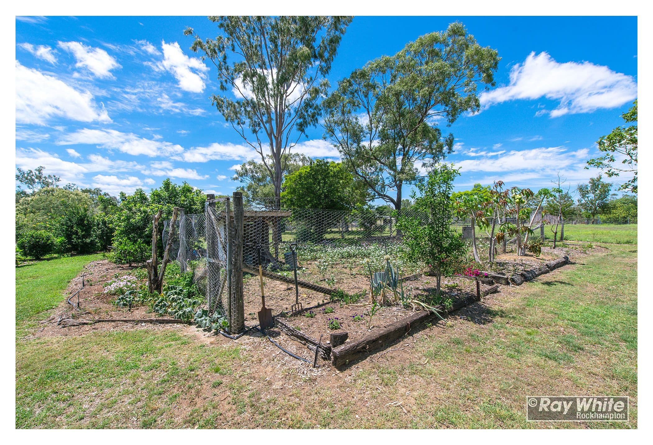 117 Glendale Road, Glendale QLD 4711, Glendale - Thumbnail 6