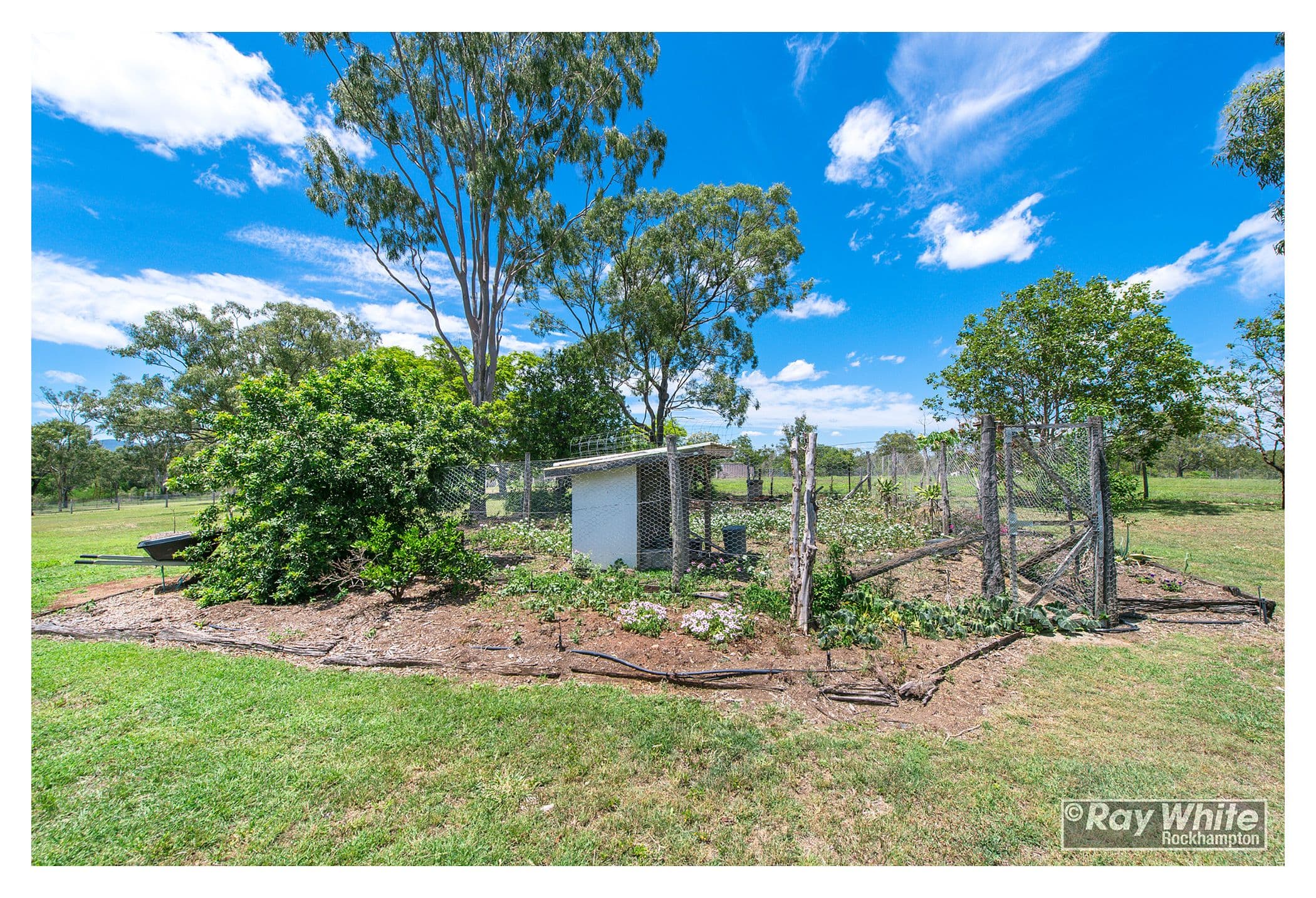 117 Glendale Road, Glendale QLD 4711, Glendale - Thumbnail 7