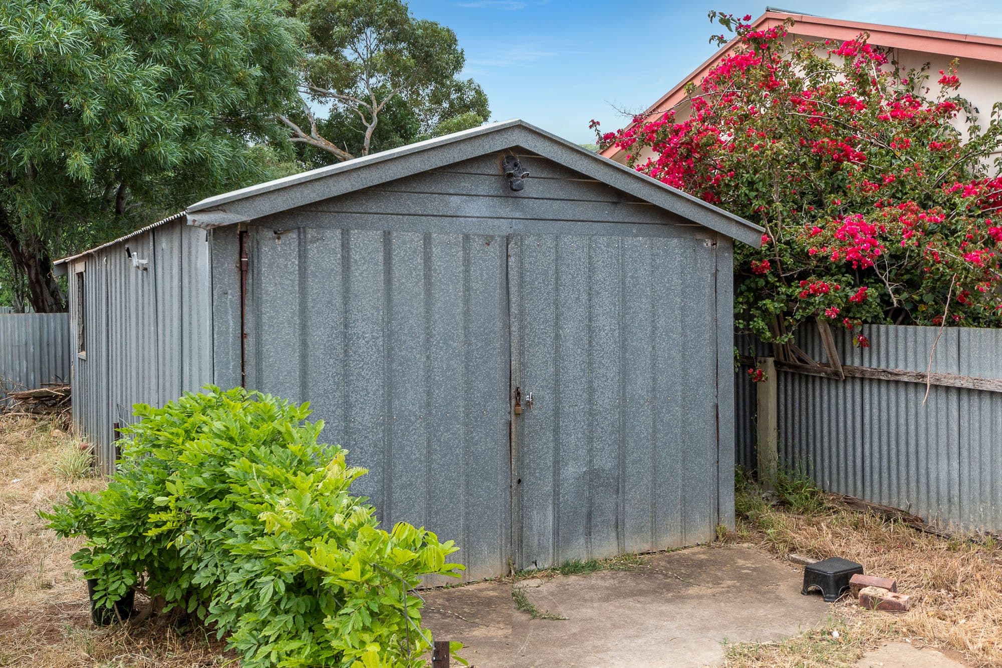 5 Frances Street, Murray Bridge SA 5253, Murray Bridge - Thumbnail 6