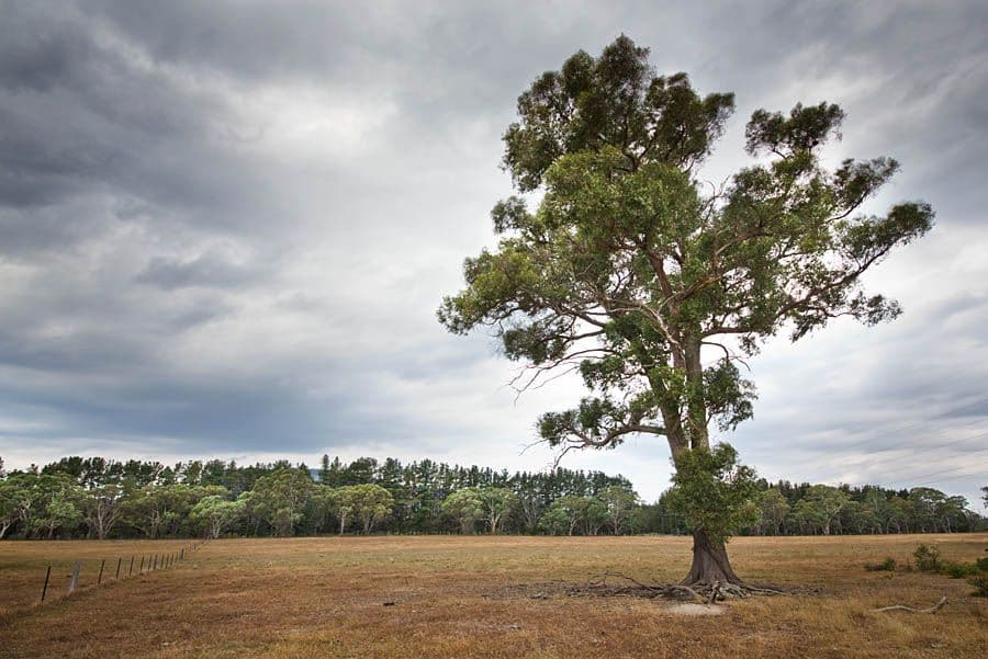 Lot 3 Bruwalin Place, Hartley NSW 2790, Hartley - Thumbnail 2