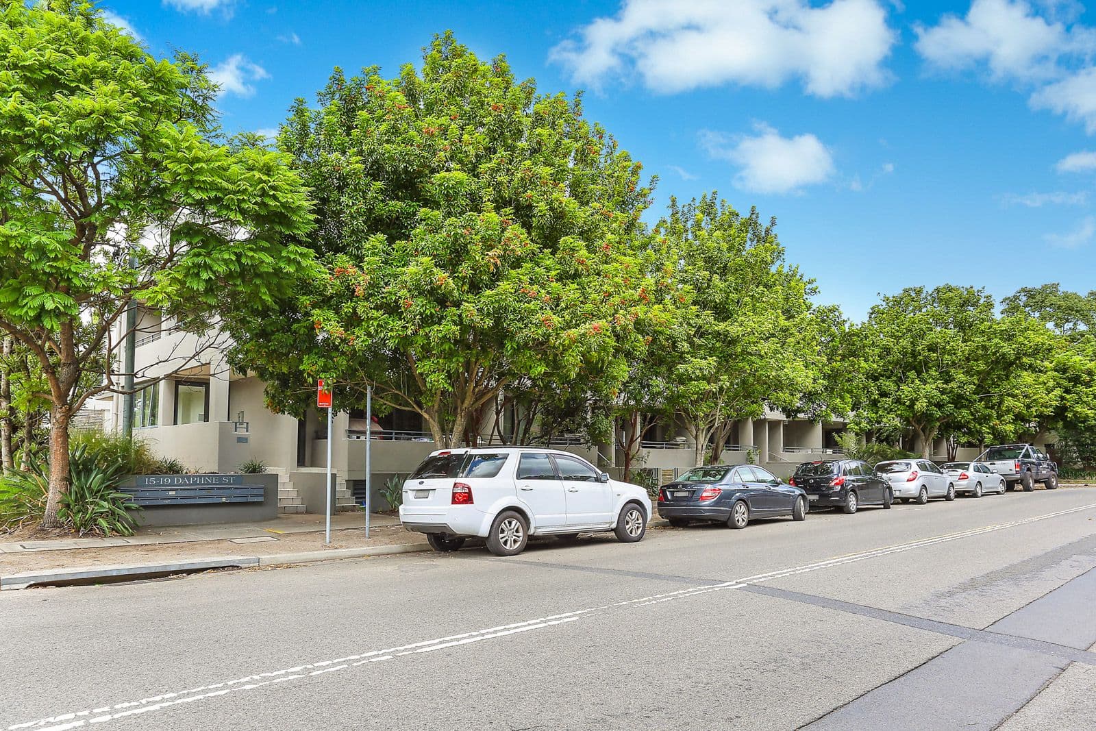 15 Daphne Street, Botany NSW 2019, Botany - Thumbnail 5