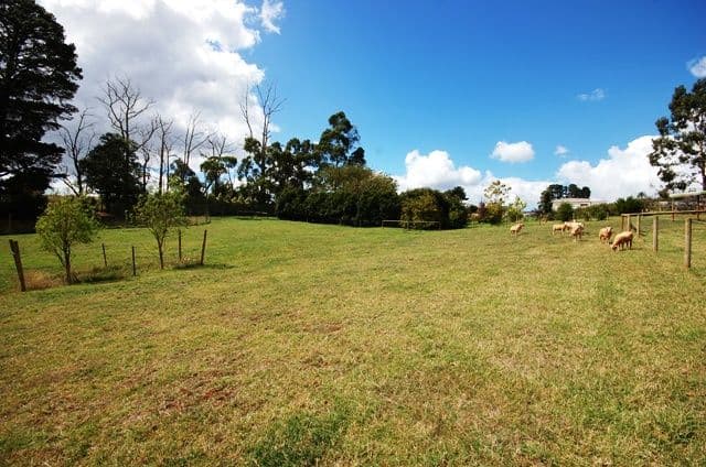 161a Monbulk-Seville Road, Silvan VIC 3795, Silvan - Thumbnail 2