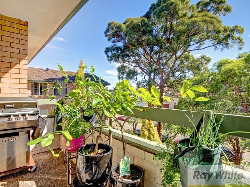28 Garfield Street, CARLTON NSW 2218, Carlton - Thumbnail 7