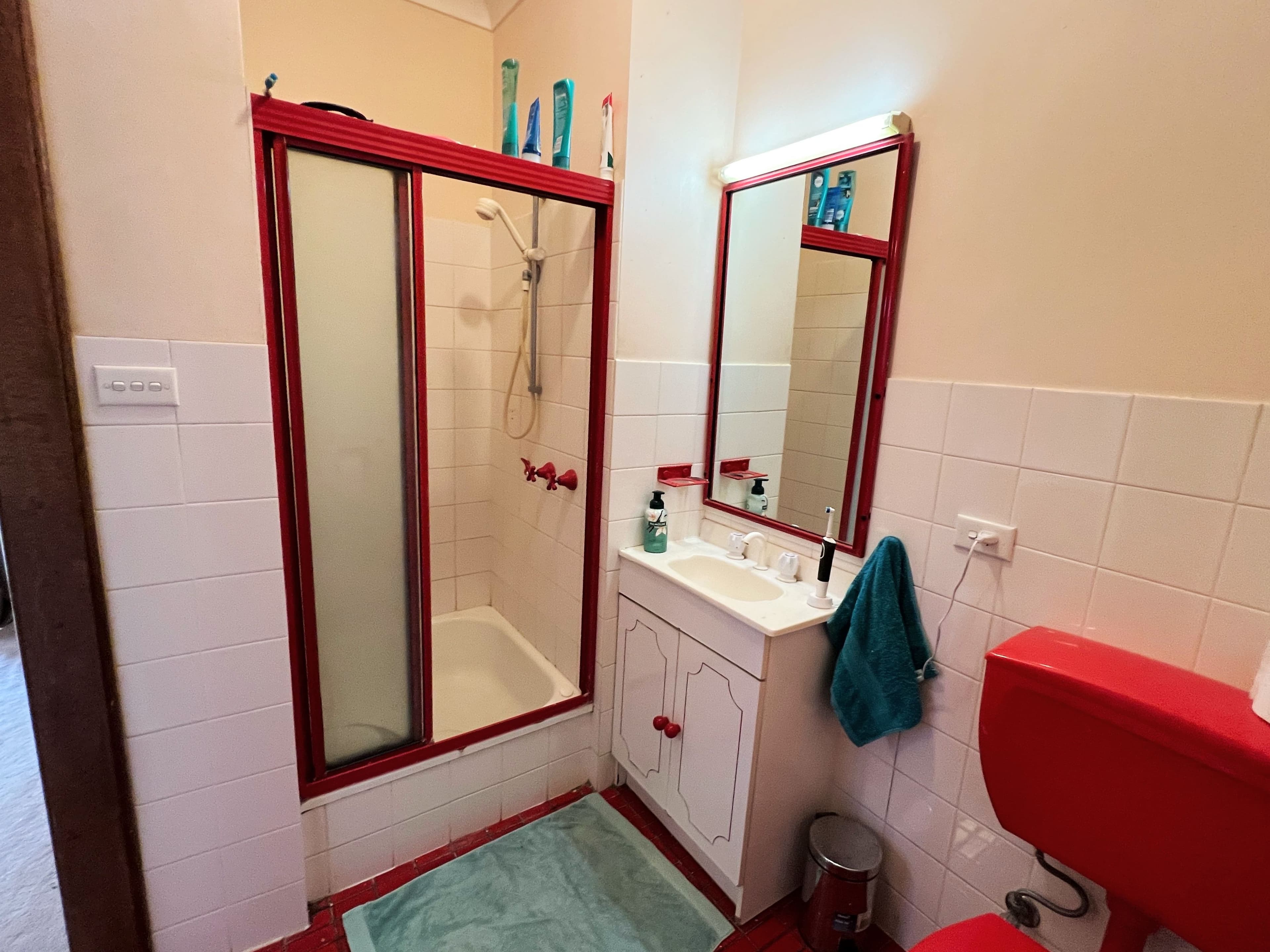 65 Edward Street, Forbes NSW 2871, Forbes - Thumbnail 6