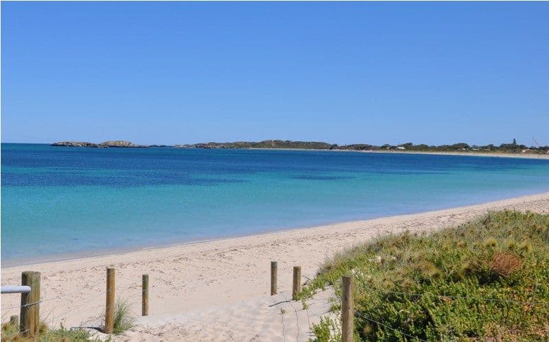 16 Arcadia Drive, SHOALWATER WA 6169, Shoalwater - Image 1