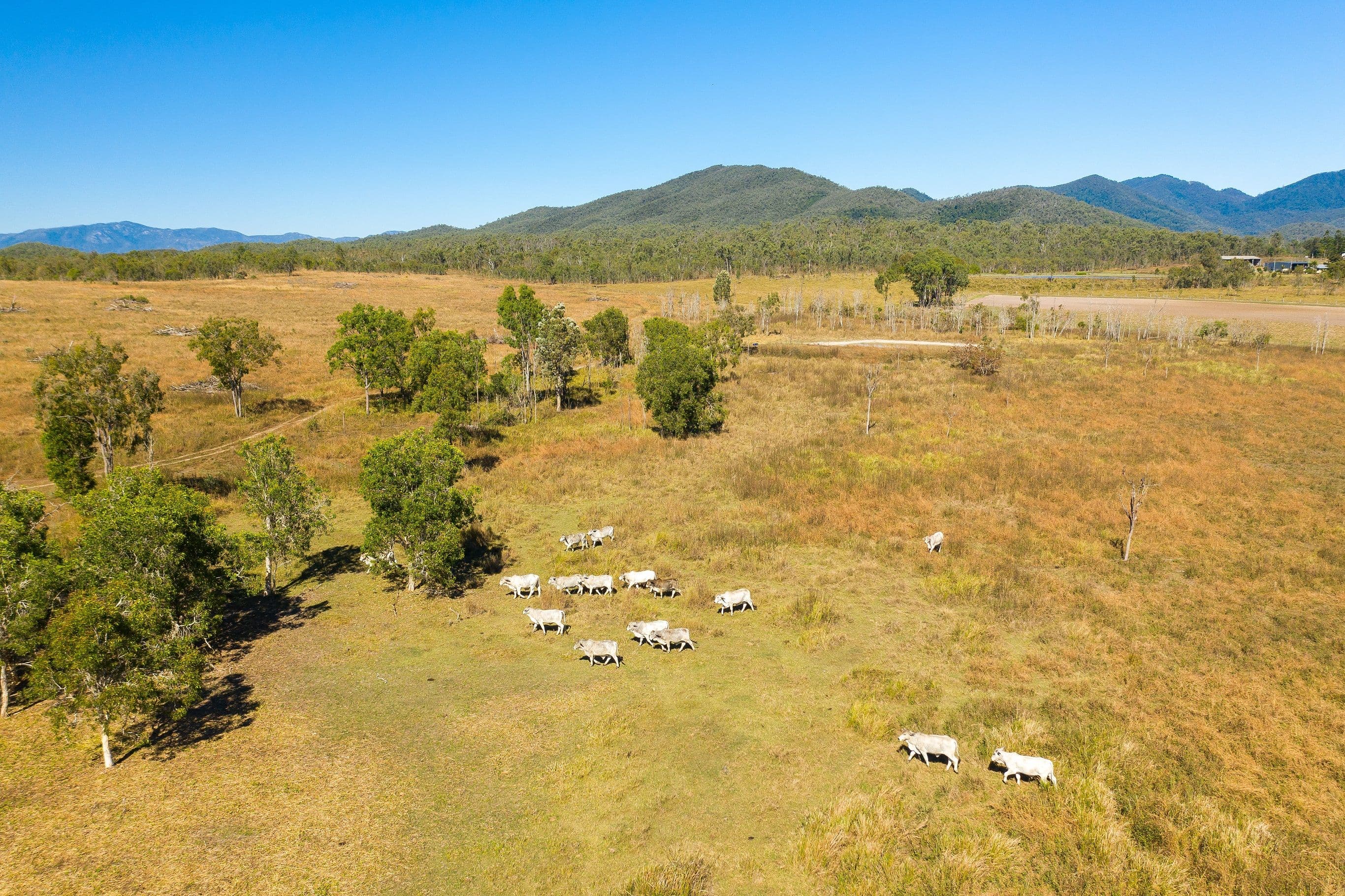 Lot 1 Silver Creek Road, Silver Creek QLD 4800, Silver Creek - Thumbnail 2