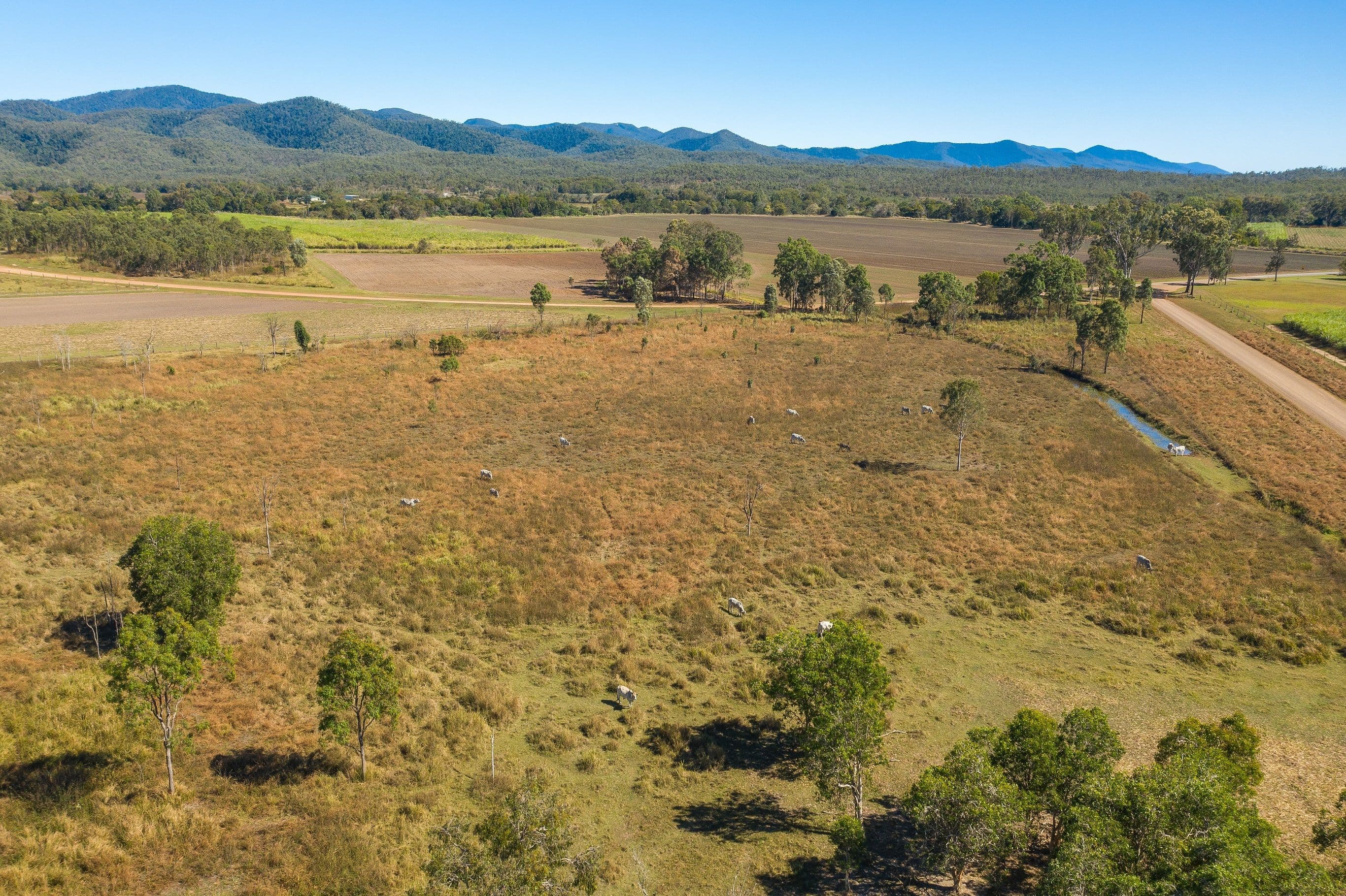 Lot 1 Silver Creek Road, Silver Creek QLD 4800, Silver Creek - Thumbnail 7