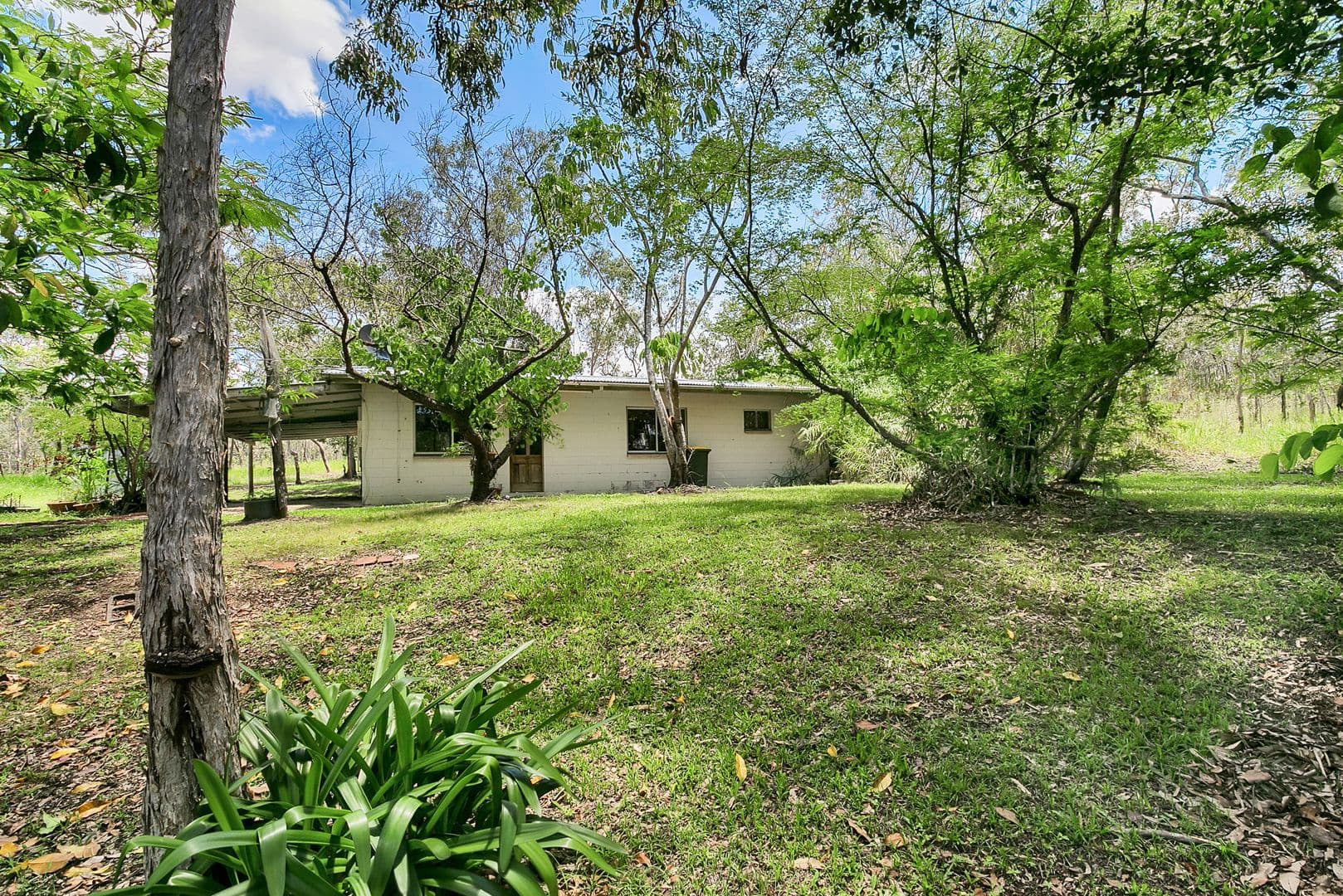 2204 Kennedy Highway, Koah QLD 4881, Koah - Thumbnail 4
