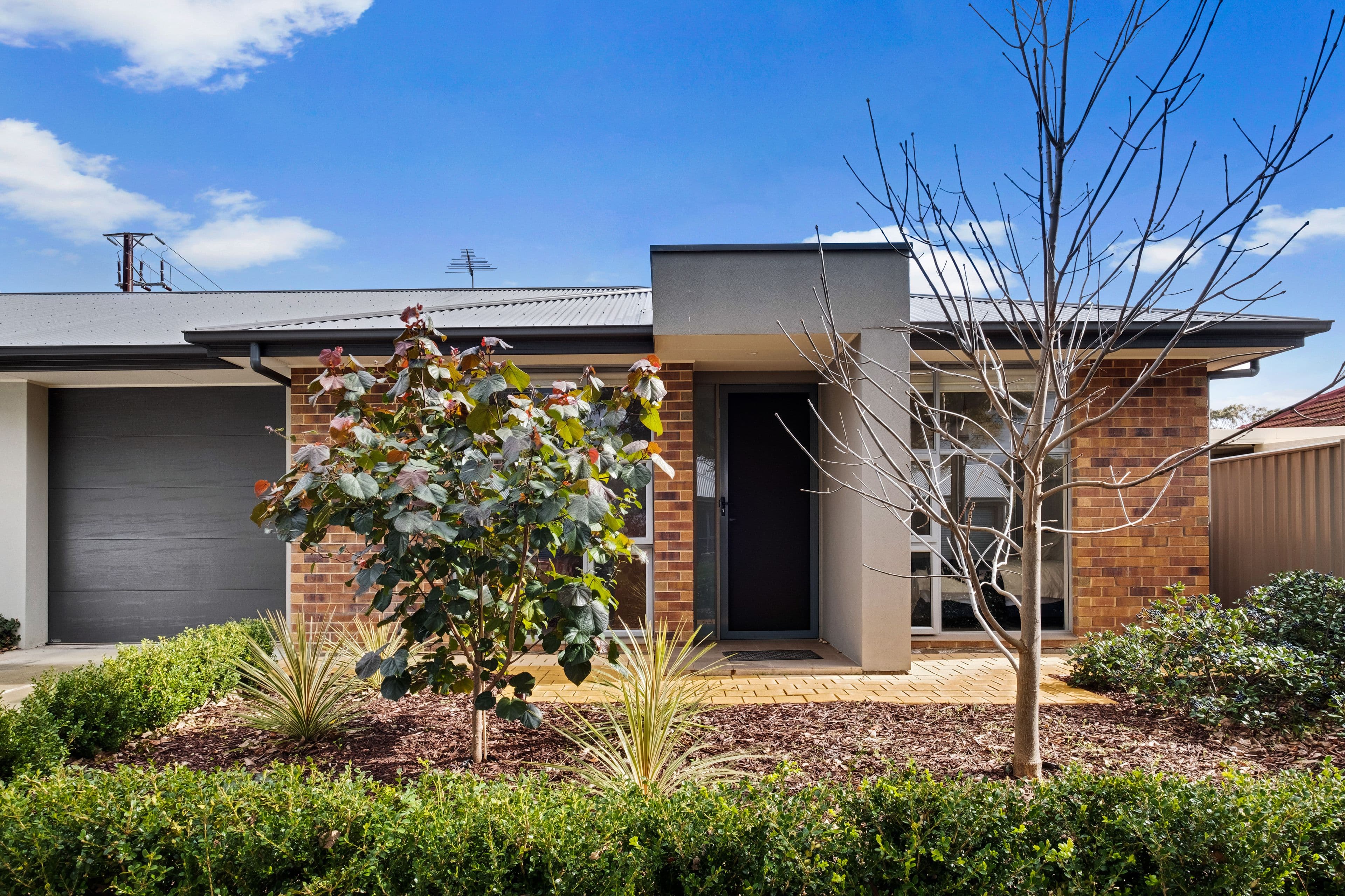 2A Jacaranda Grove, Oaklands Park SA 5046, Oaklands Park - Image 1