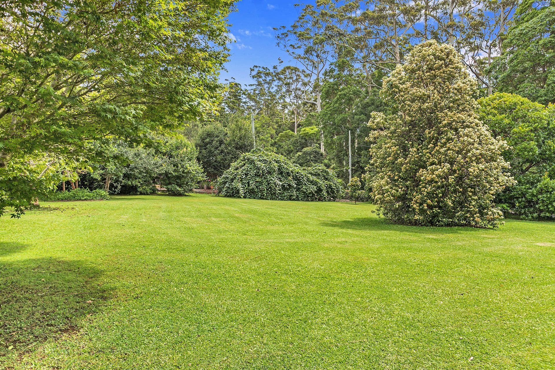 82-84 Cliff Road, Tamborine Mountain QLD 4272, Tamborine Mountain - Thumbnail 5