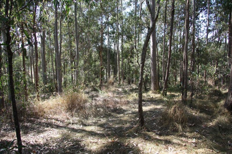 121 Bunya Road, ARANA HILLS QLD 4054, Arana Hills - Image 1