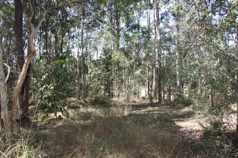 121 Bunya Road, ARANA HILLS QLD 4054, Arana Hills - Thumbnail 2