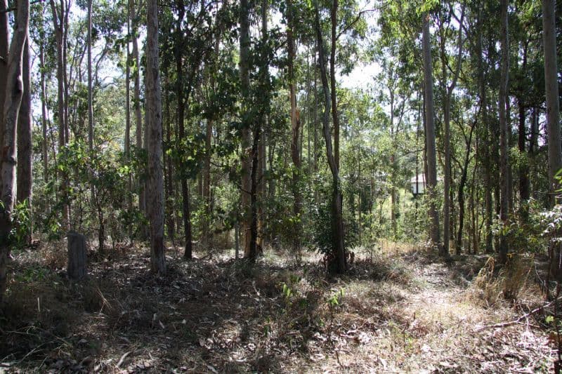 121 Bunya Road, ARANA HILLS QLD 4054, Arana Hills - Thumbnail 3