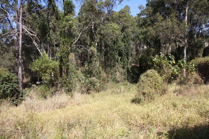 121 Bunya Road, ARANA HILLS QLD 4054, Arana Hills - Thumbnail 4
