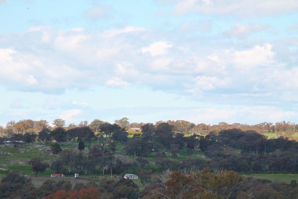 605 Spring Creek Road, YOUNG NSW 2594, Young - Thumbnail 2