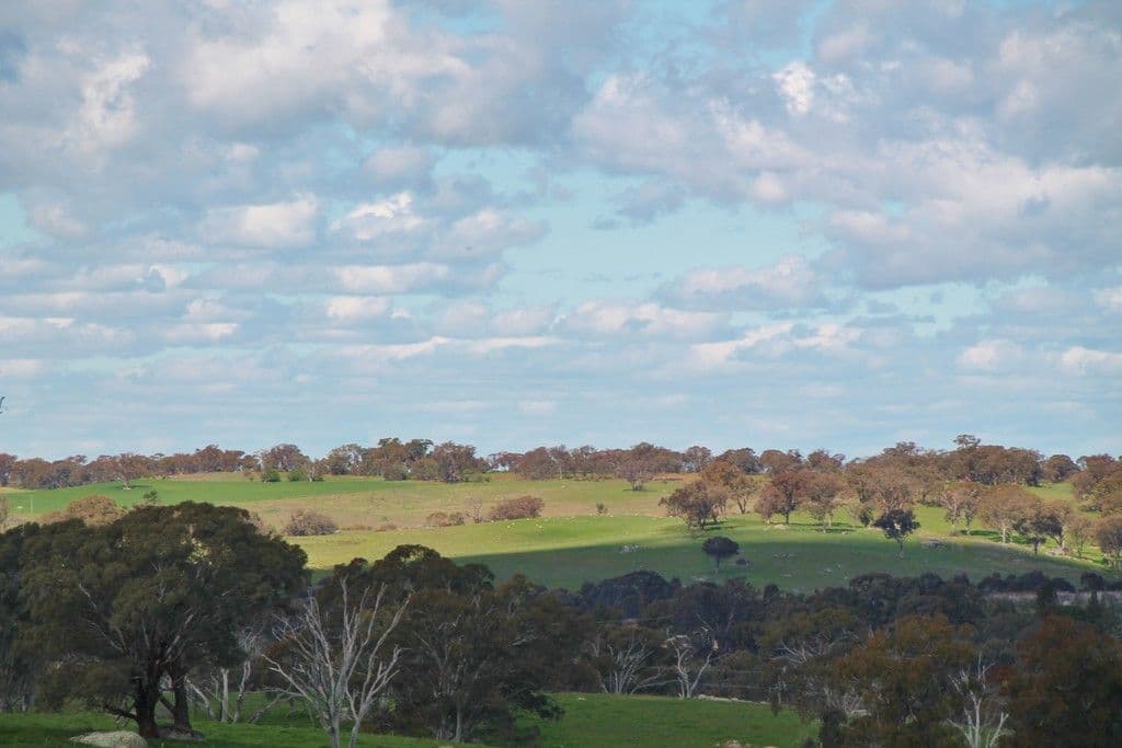 605 Spring Creek Road, YOUNG NSW 2594, Young - Thumbnail 3