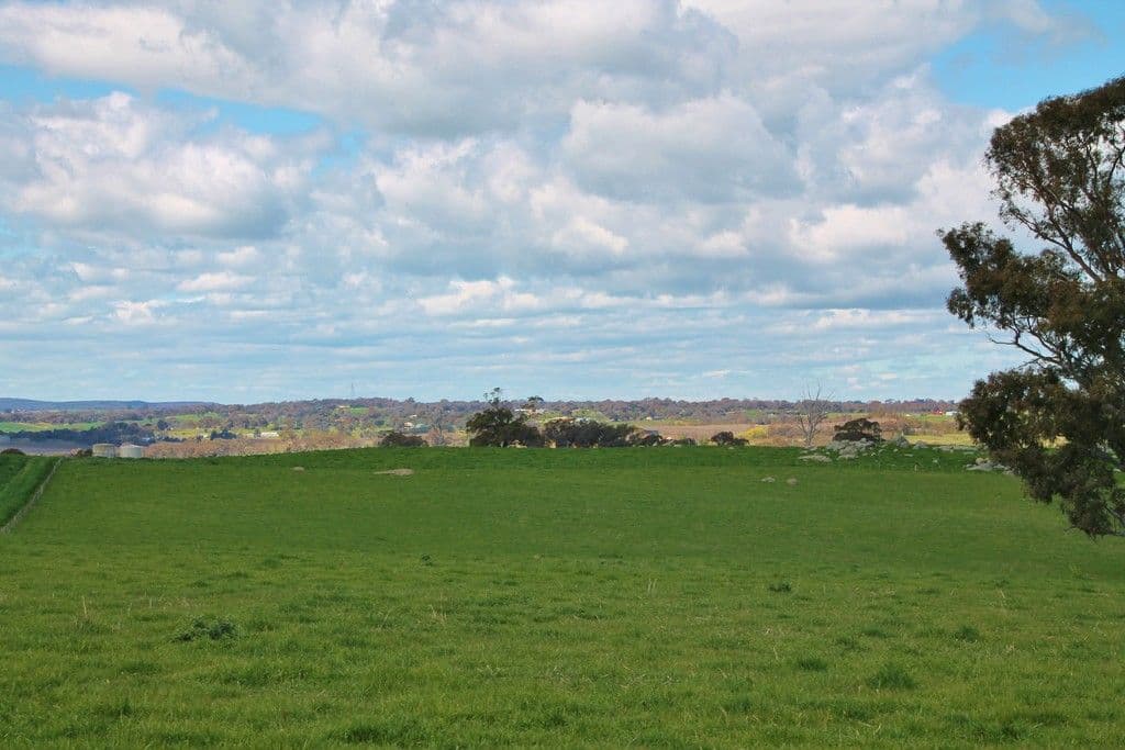 605 Spring Creek Road, YOUNG NSW 2594, Young - Thumbnail 4
