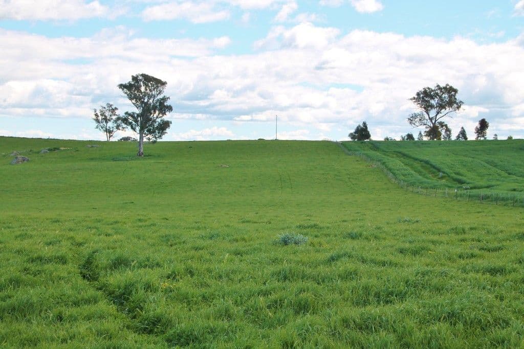 605 Spring Creek Road, YOUNG NSW 2594, Young - Thumbnail 6