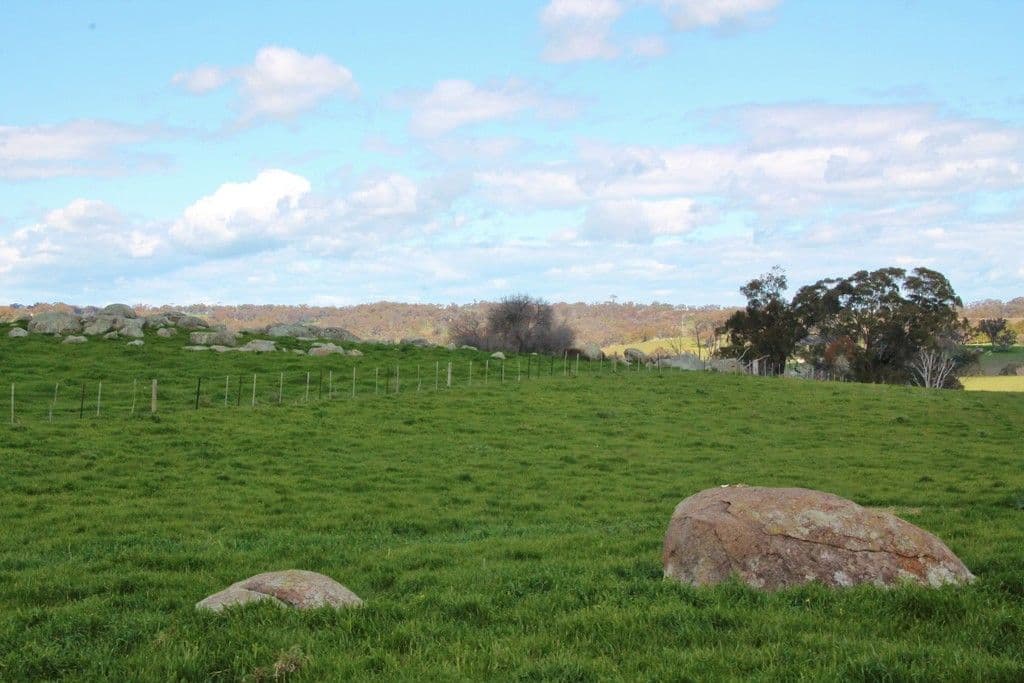 605 Spring Creek Road, YOUNG NSW 2594, Young - Thumbnail 7