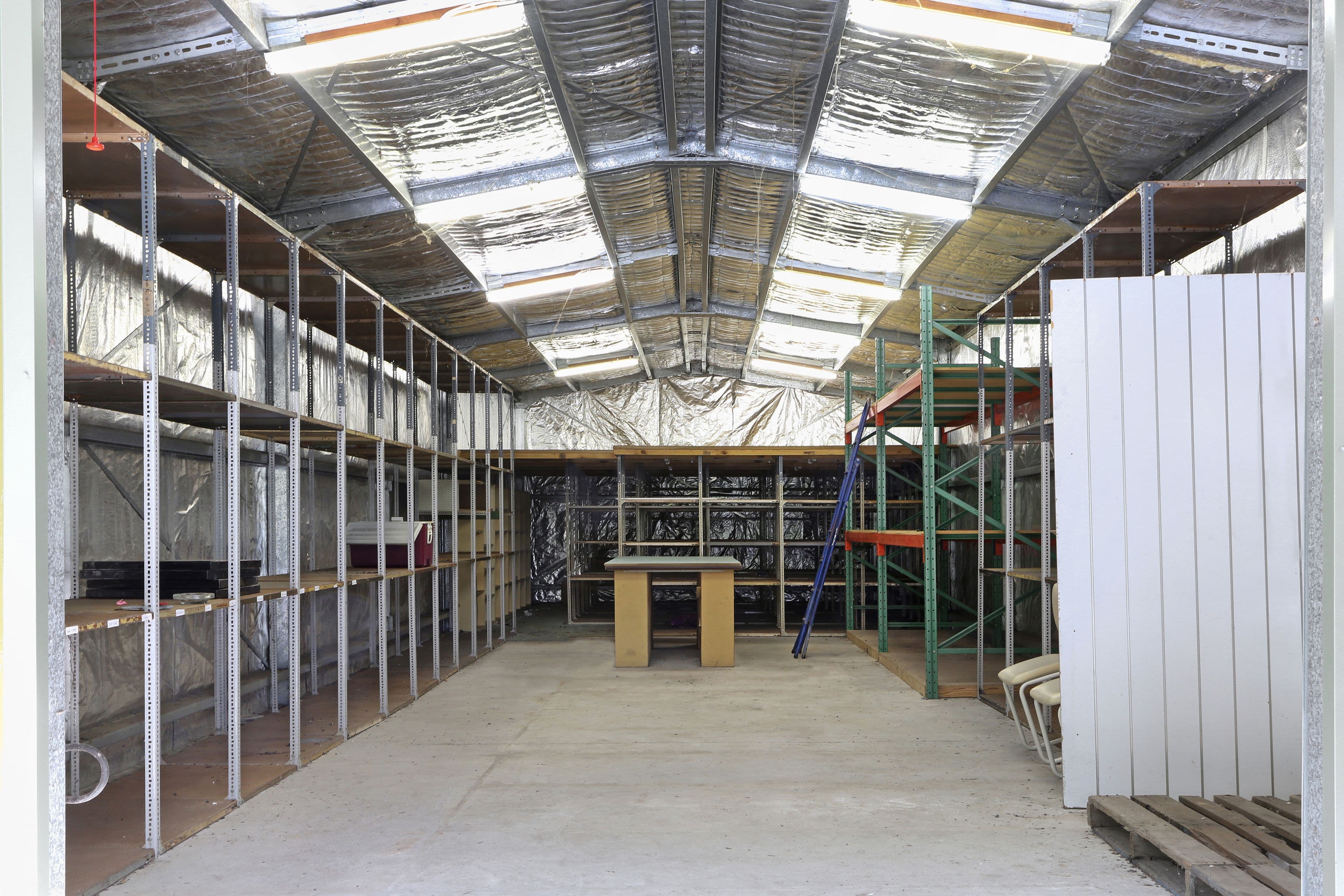 17 Pomona Road, Empire Bay - Thumbnail 5