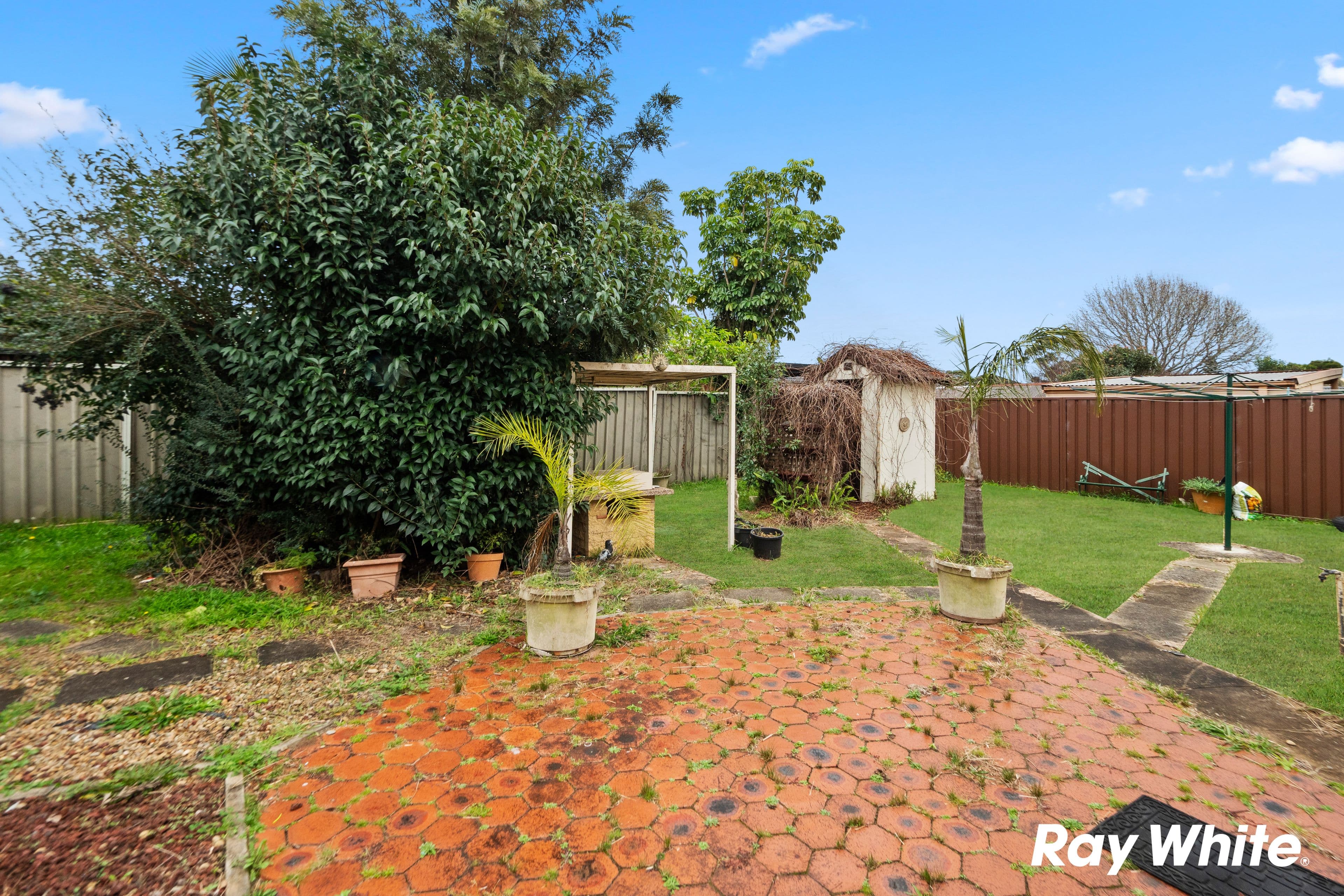 18 Balbeek Avenue, Blacktown NSW 2148, Blacktown - Thumbnail 6