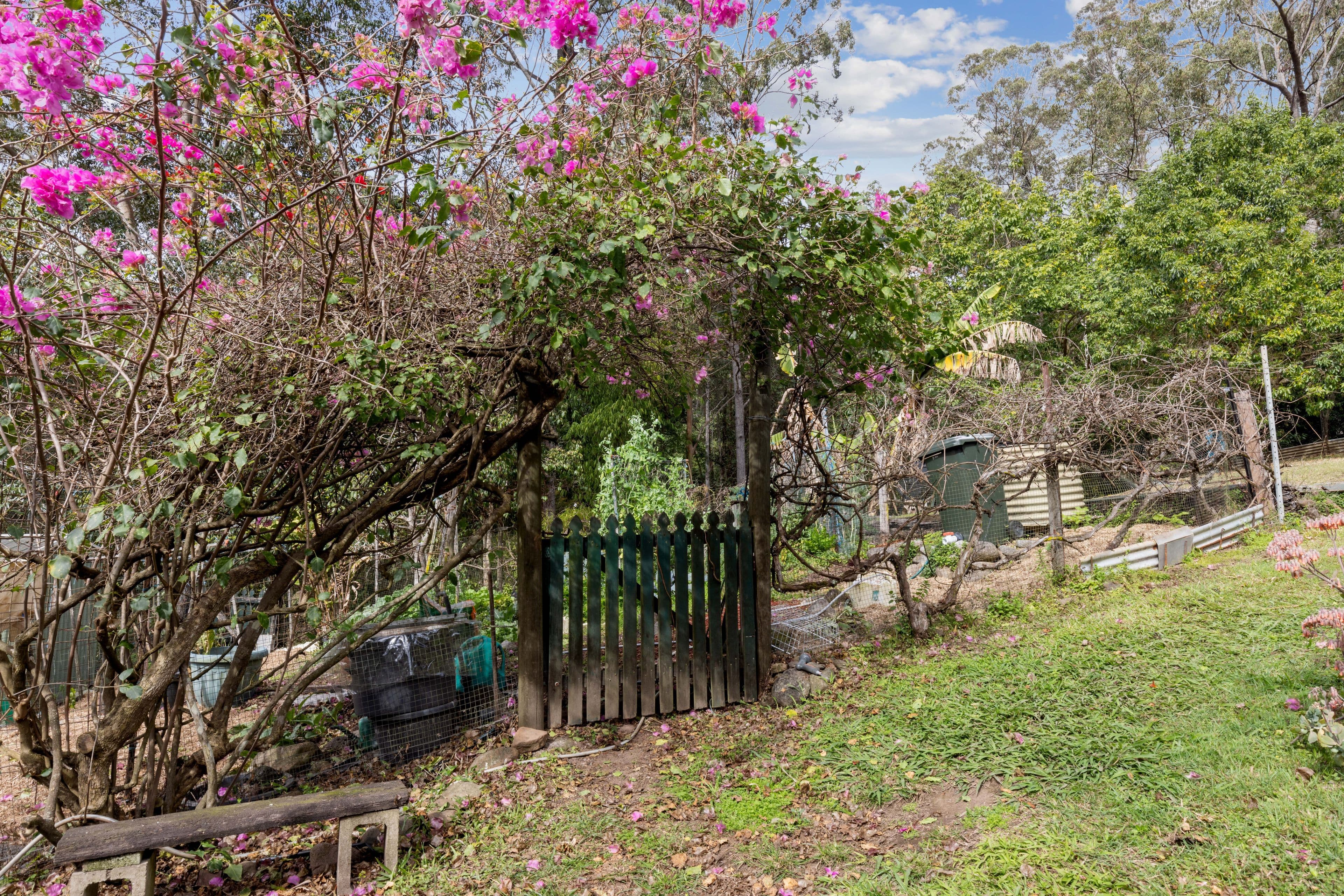 450 Cookes Road, Conondale QLD 4552, Conondale - Thumbnail 5