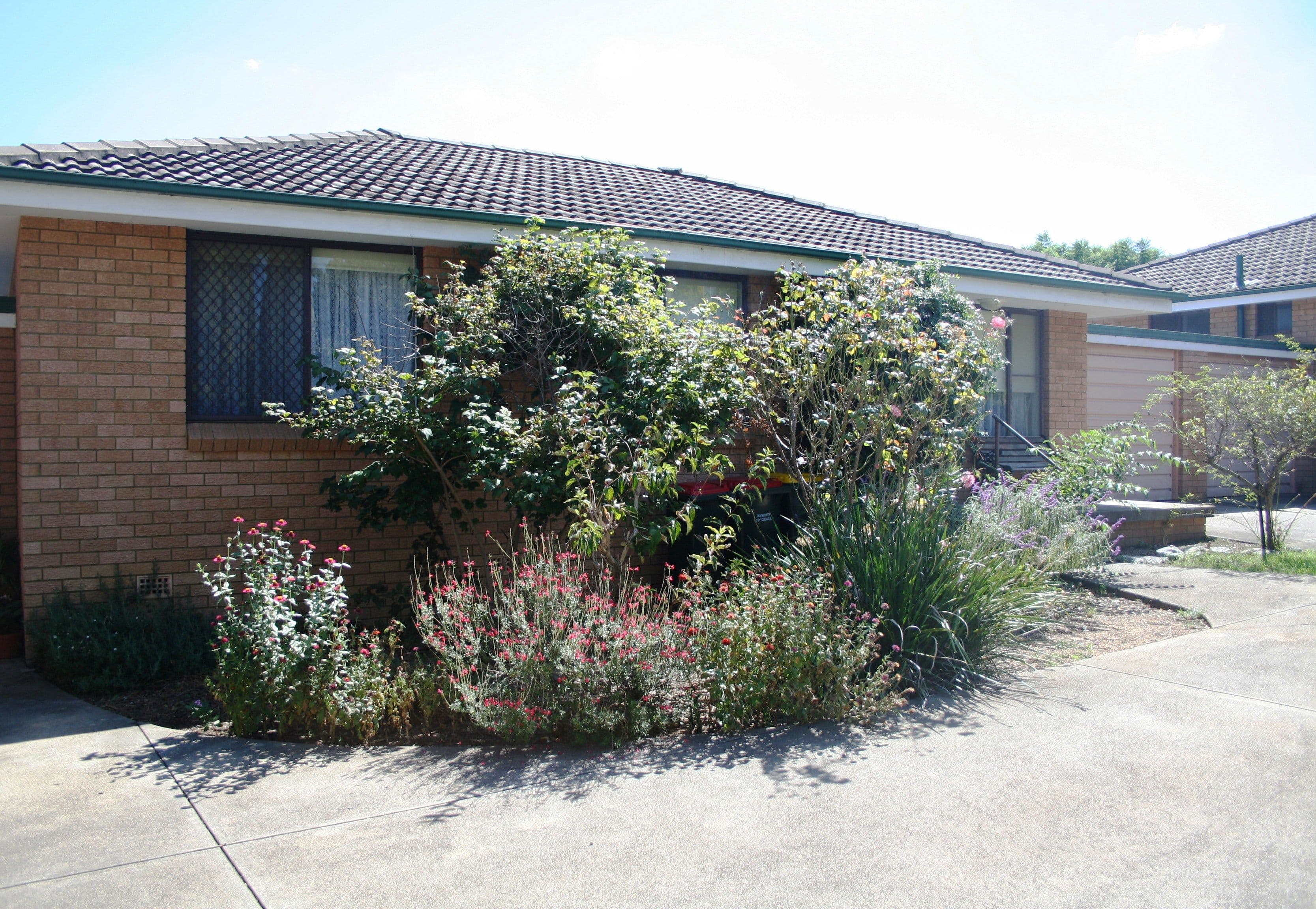 51 Rawson Avenue, TAMWORTH NSW 2340, East Tamworth - Thumbnail 3