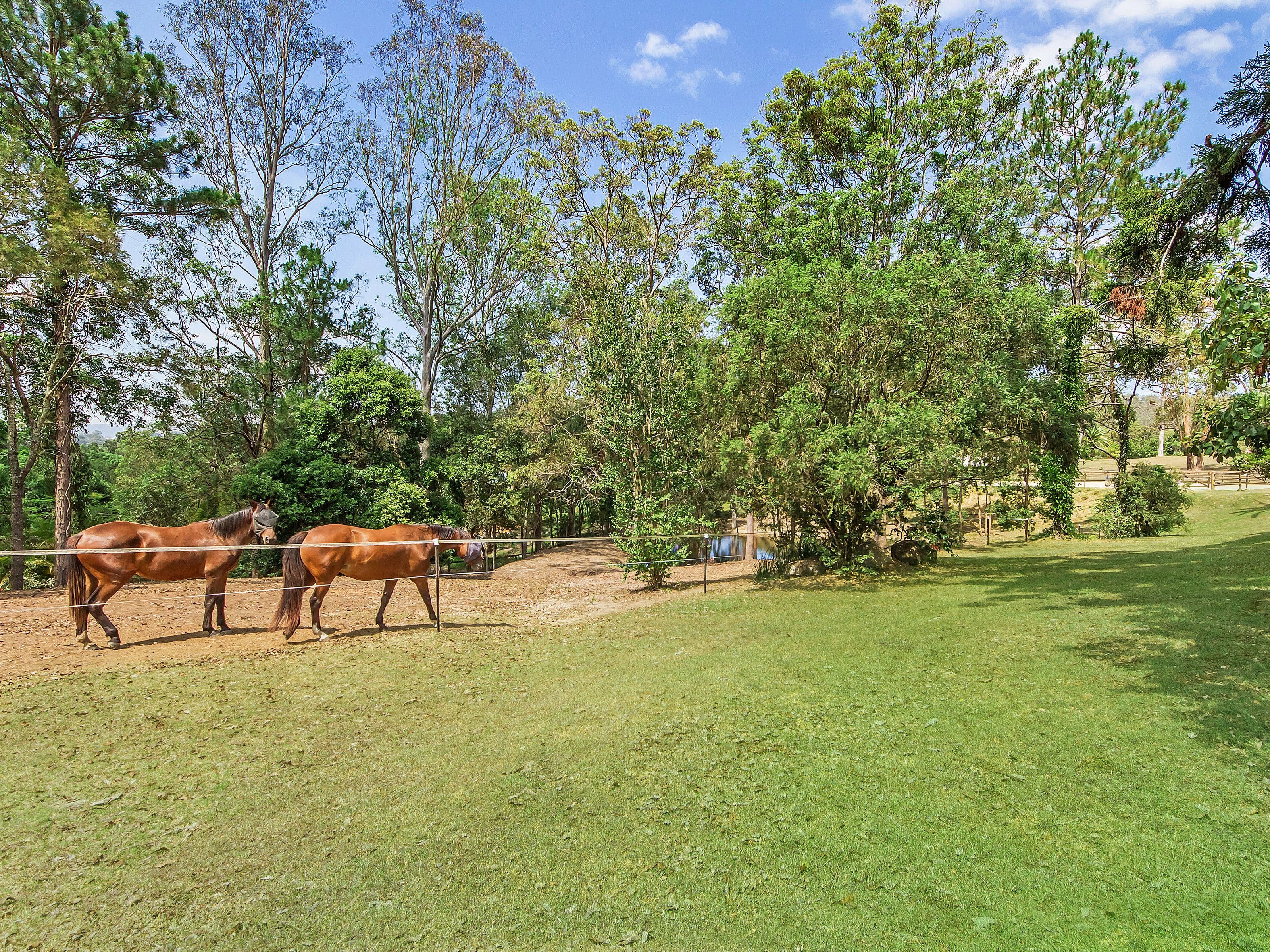 579 Maudsland Road, Maudsland QLD 4210, Maudsland - Thumbnail 5