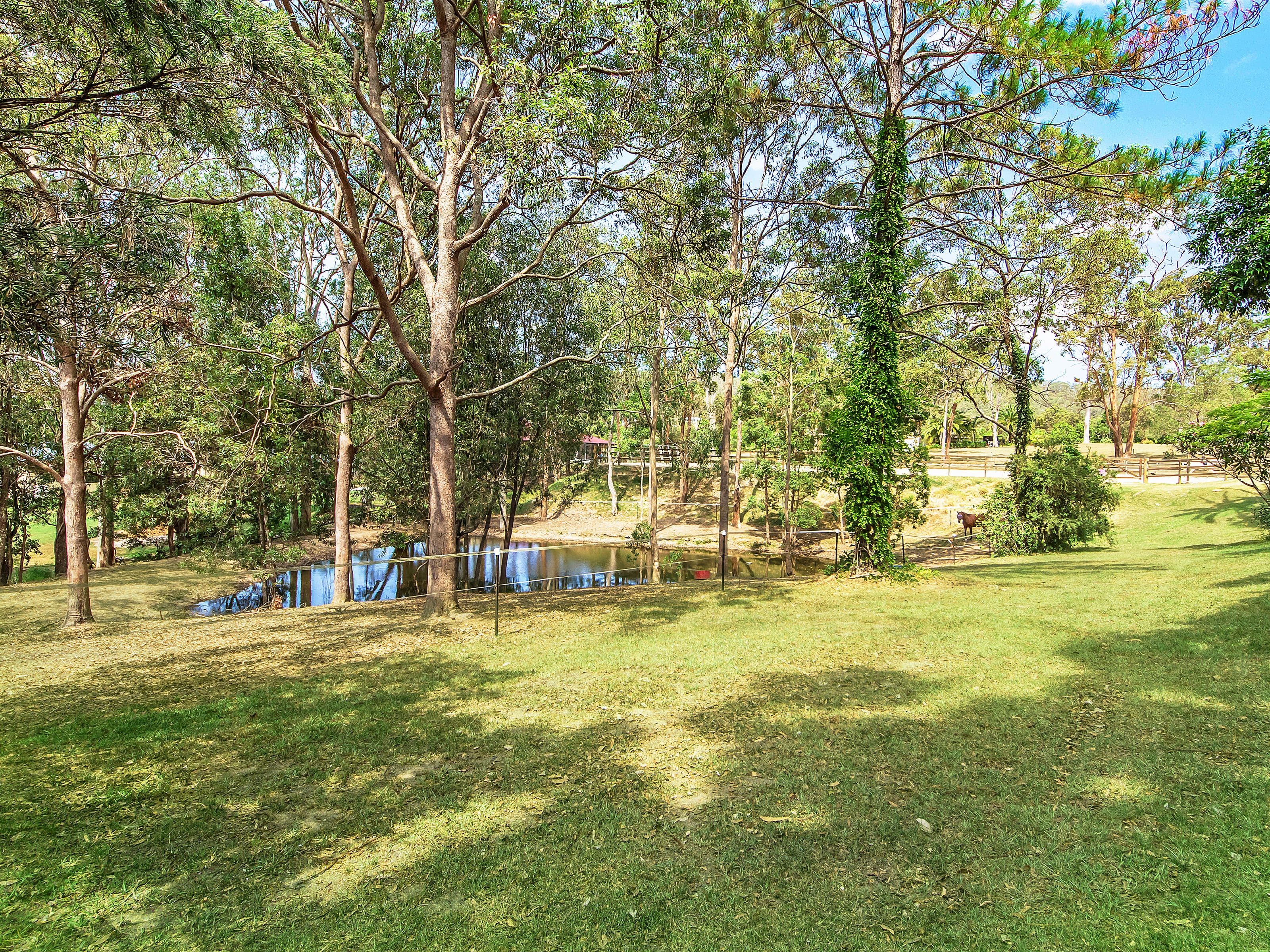 579 Maudsland Road, Maudsland QLD 4210, Maudsland - Thumbnail 6