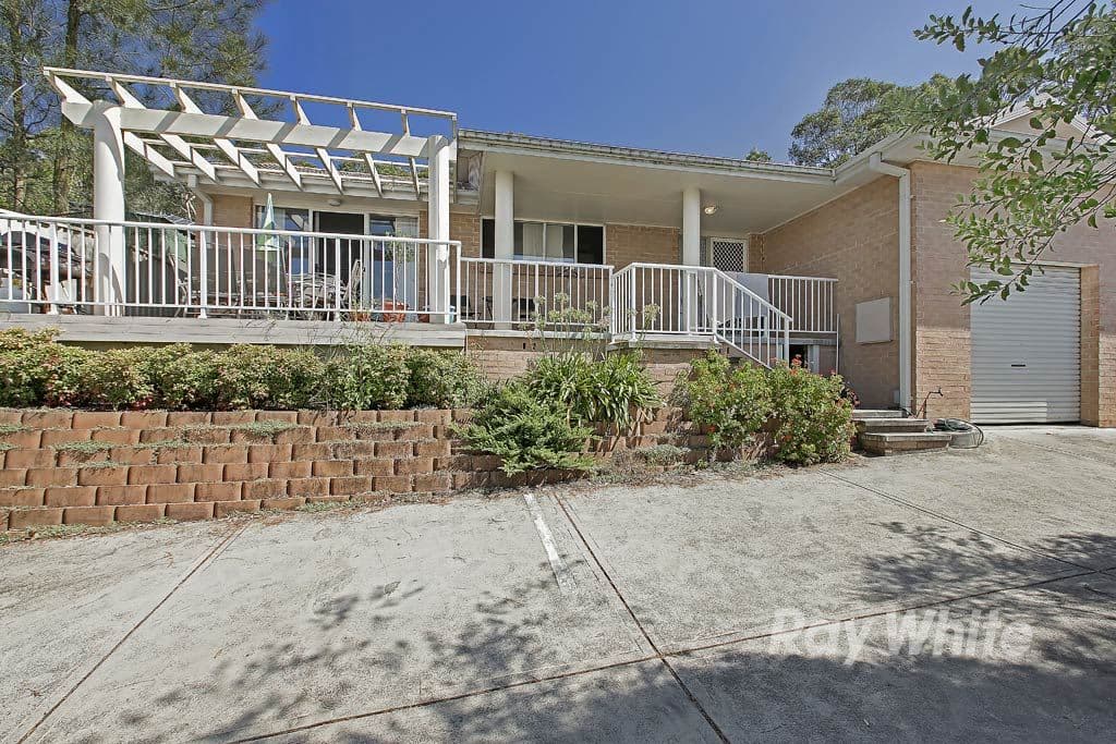 16 Jindalee Street, Toronto - Thumbnail 2