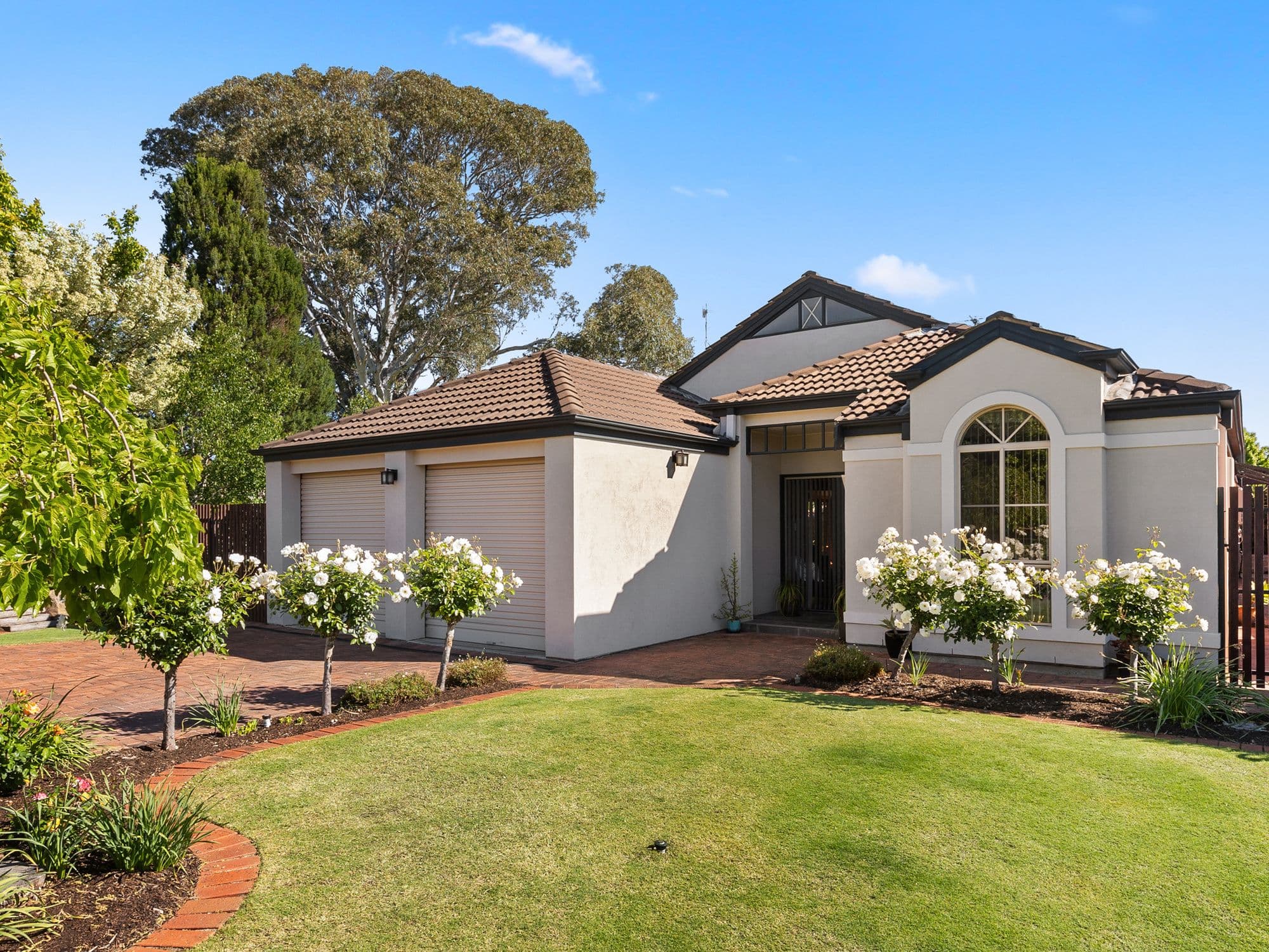 29 Pegasus Drive, Woodcroft SA 5162, Woodcroft - Image 1