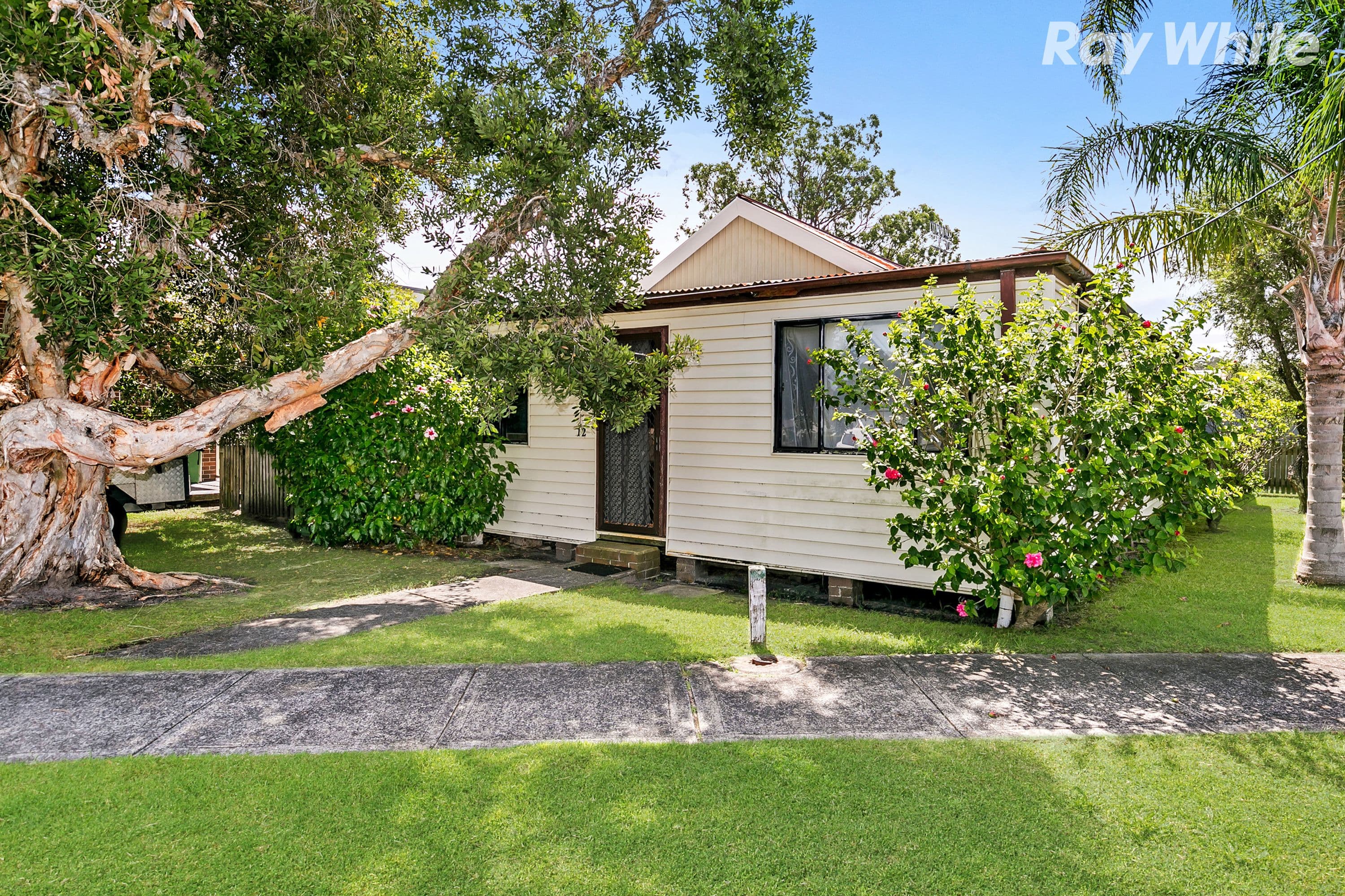 12 Paringa Avenue, Davistown - Thumbnail 2