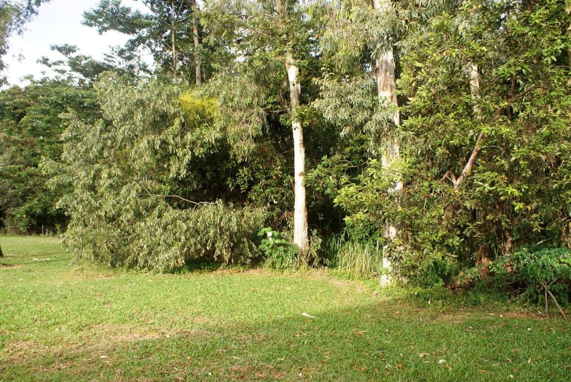 40 Sanctuary Crescent, Wongaling Beach QLD 4852, Wongaling Beach - Thumbnail 6
