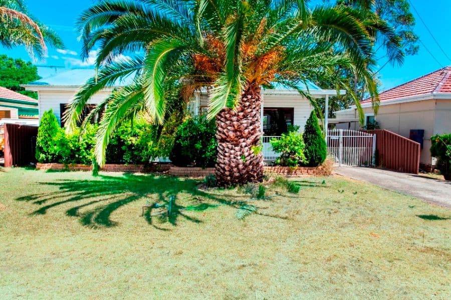 26 Carrington Street, ST MARYS NSW 2760, St Marys - Thumbnail 4